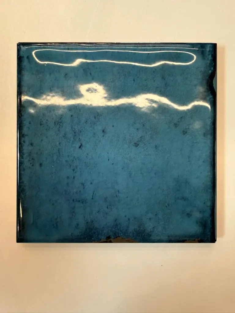 WhatsApp Image 2026-01-24 at 11.17.15 AM.webp