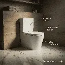 Gemini_Generated_Image_phheqsphheqsphhe (1).webp