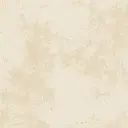 alisadoarenacara01.webp