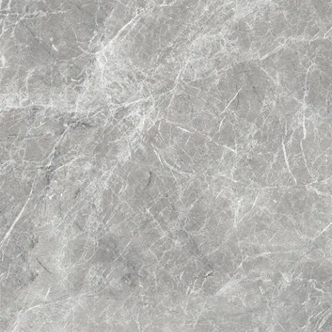 caliacara01.webp