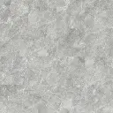caliacara17.webp
