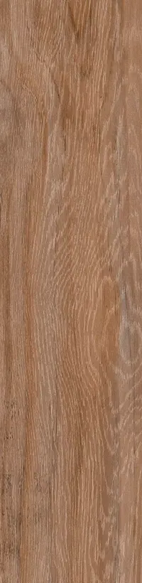 Porcelanato Lume Arbol Taupe 22x90 (1ra Calidad)