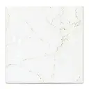 Porcelanico Lume Carrara Bianco Pulido 75x75 (1ra Calidad)
