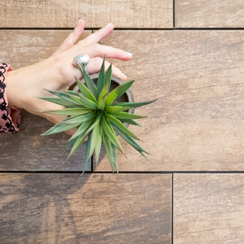 Revestimiento Alberdi Medley Beige Rectificado H5 20x60 (1ra Calidad)