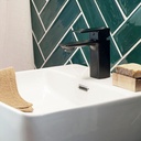 Grifería Monocomando de Lavatorio Peirano Soria Black 60-192